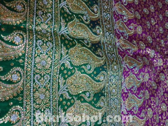 Beautiful Banarasi Saree